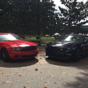 Meet your Posher, Janet